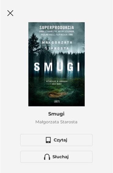 2 okno wyboru formatu.jpg